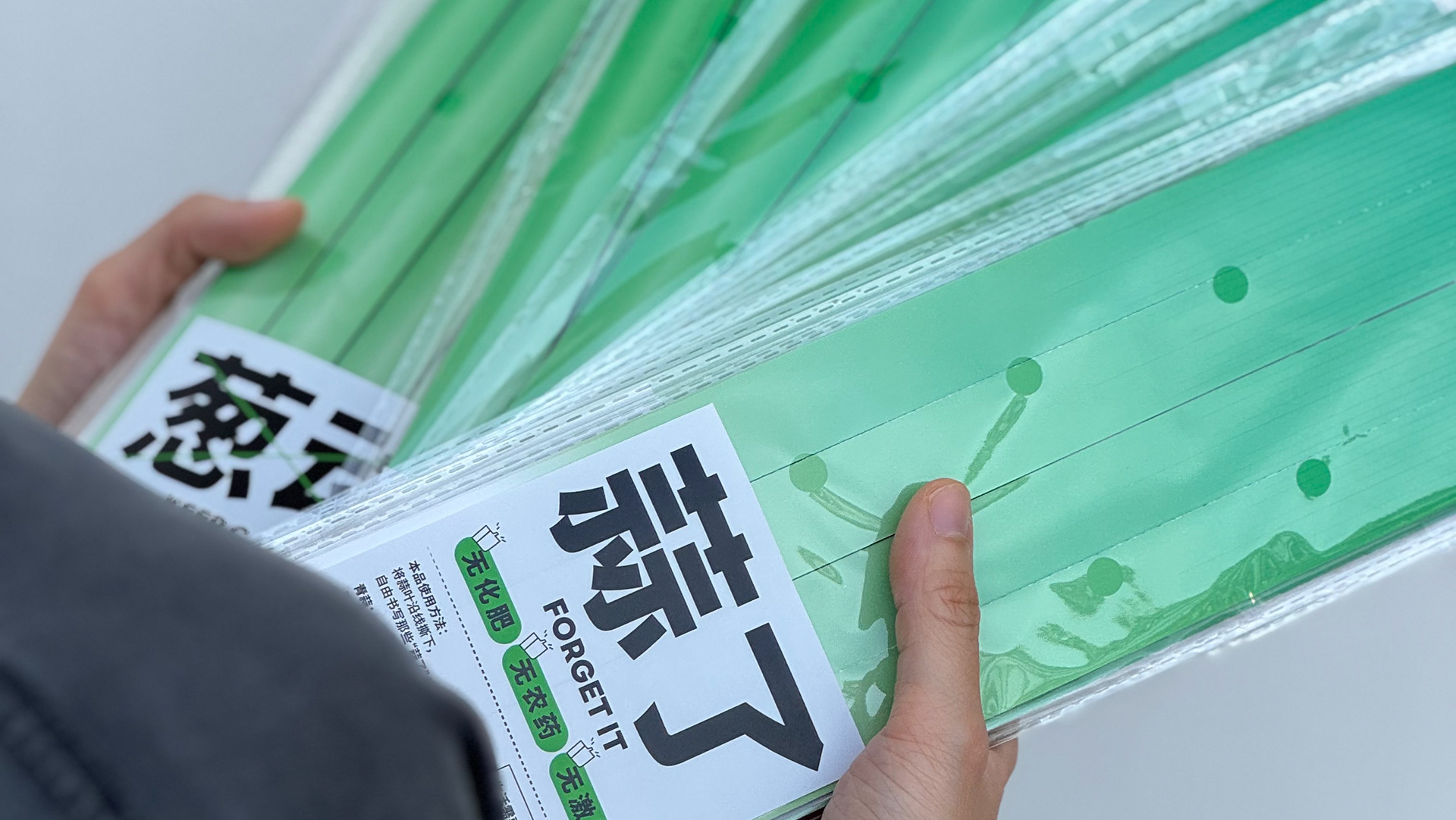 Vegetable series - Notes Paper — project preview