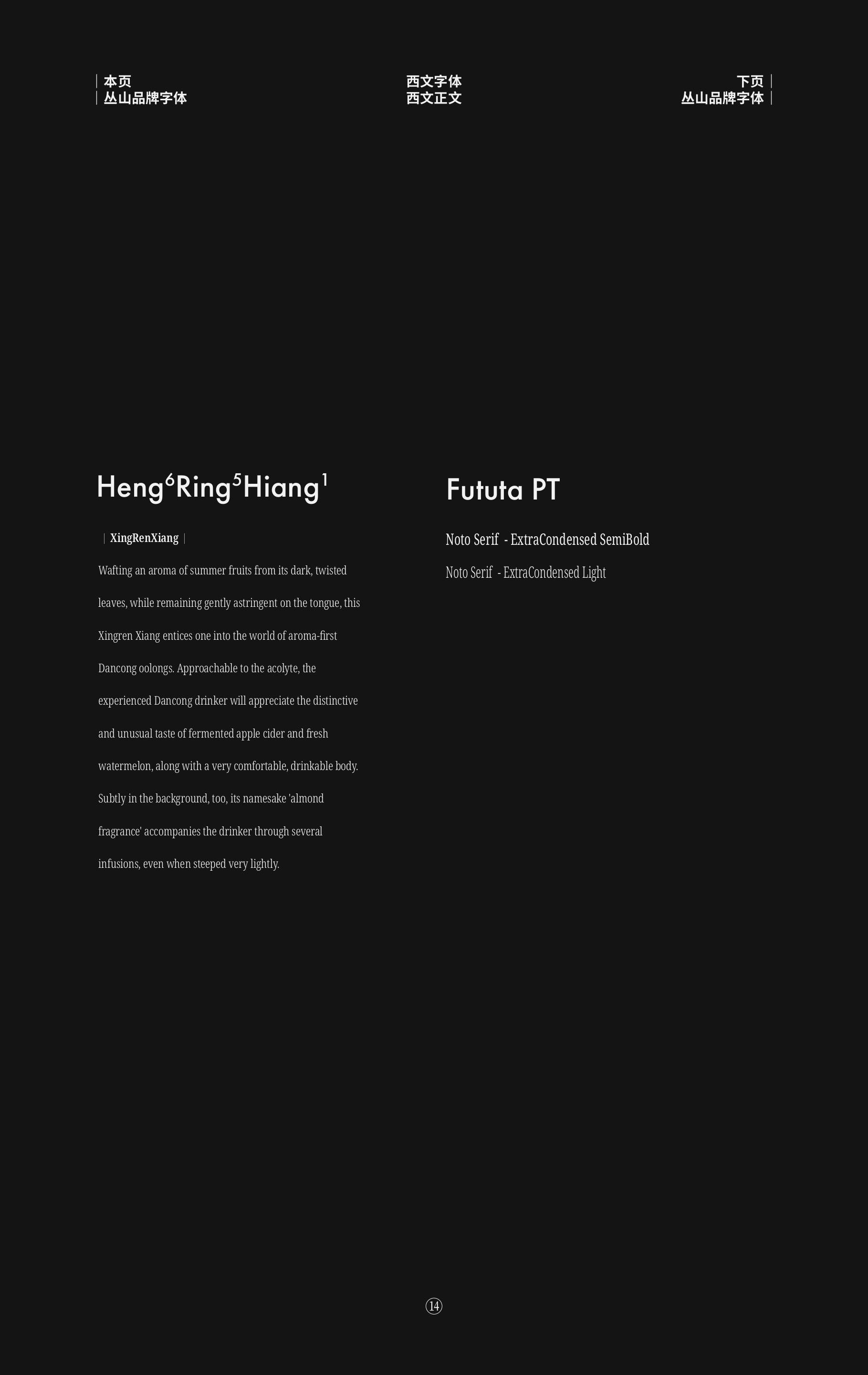 Chinese and Latin type specimens and paragraph layouts for Zang5Suan3.